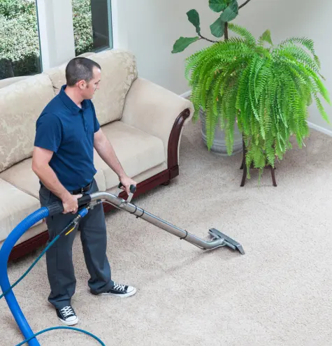 Clean Carpets That Feel Like